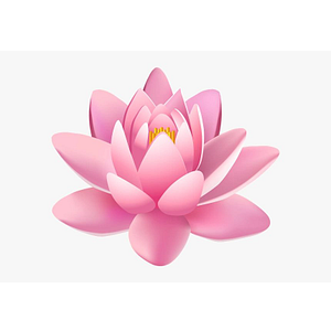 Lotus Body Piercing - Logo