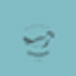 JZ Shoreline Fishing Adventures - Logo