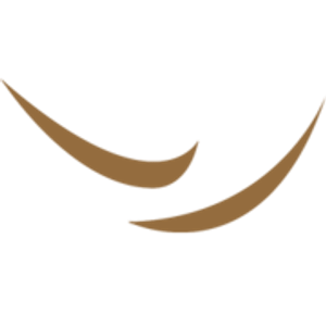 Broadwing Capital Advisors - Logo