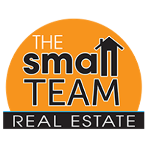 The Small Team - Logo