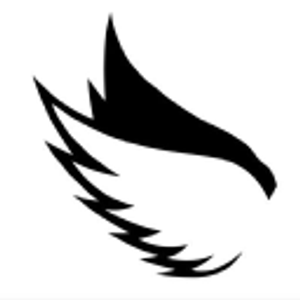Tara Angel's Magic - Logo