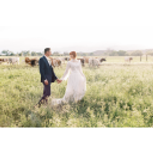 Christopher Cook Photography