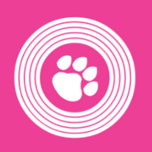 Disco Paws - Logo