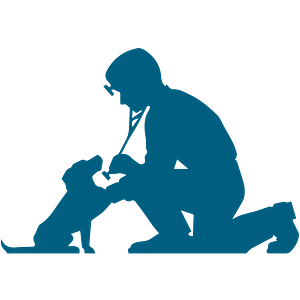 Dunwoody Animal Medical Center - Logo