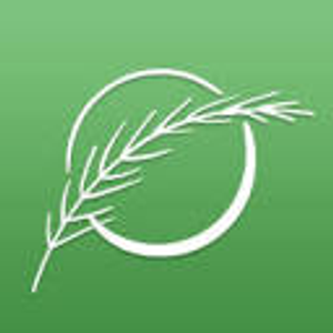 Healing Into Wellness - Logo