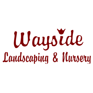 Wayside Nursery, Inc. - Logo