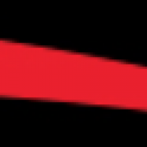 The Trim Shop - Logo