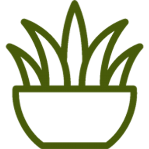 Collier's Nursery