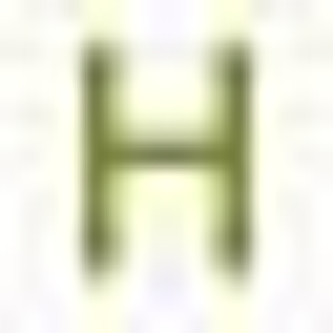 H & H Tree Services Inc