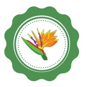 Albuquerque Florist