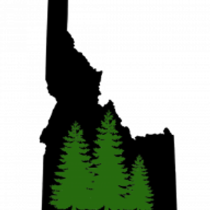 Idaho Tree Professionals - Logo