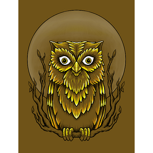 Smiling Owl Massage - Logo