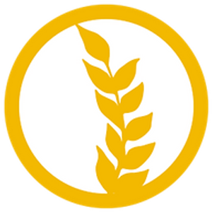 Wisdom Health and Wellbeing - Logo