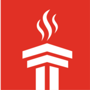 Jacksonville Chimney Pros