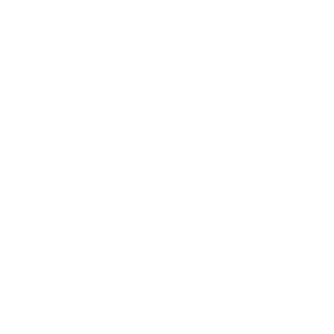 MJ Transportation Services