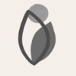 Montana Luxury Real Estate: Robin Gail - Logo