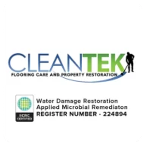 CleanTek - Logo