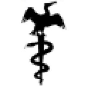Odd Pet Vet - Logo