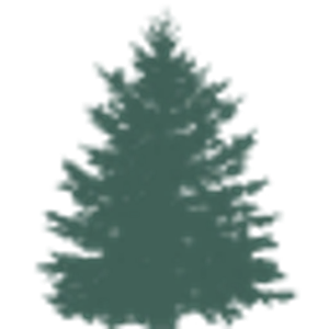 EJ Pontiff - Logo