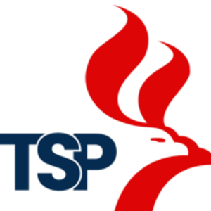 The Solution People - Logo