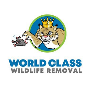 World Class Wildlife Removal & Rodent Remediation - Logo