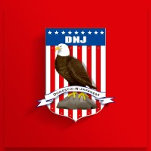 Dnj Engine Components Inc