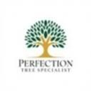Perfection Tree Specialist