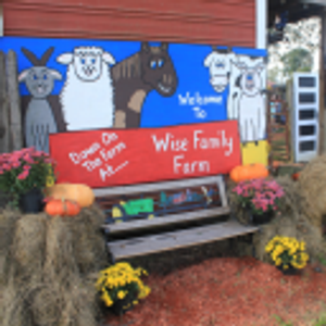Wise Family Farm - Logo