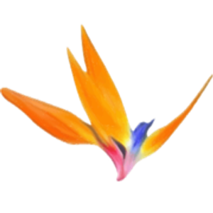 Paradise Realtors, LLC - Logo