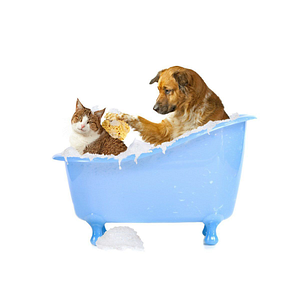 U Dirty Dog - Logo
