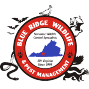 Blue Ridge Wildlife & Pest Management