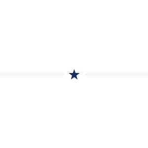 Flag Home Sales Inc. - Logo
