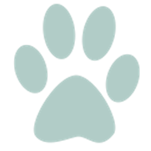 Dr. Allen G. Rich - Logo