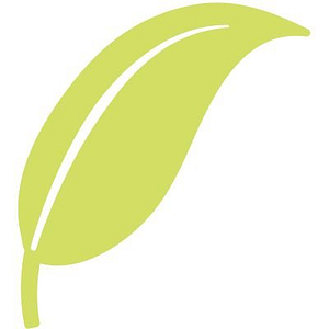 Walnut Beach Wellness Center - Logo