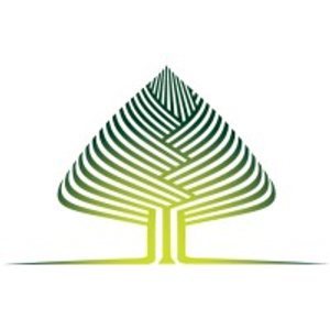 Carolina Outdoor Lighting - Logo