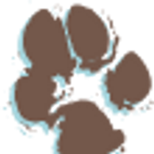 The Dirty Dawg Self Serve Dog Wash - Logo