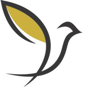 Lime Tree Terrace - Logo
