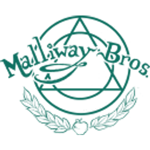 Malliway Bros. Spells, Charms, & Potions - Logo