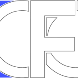 1 CFO - Fractional Chief Financial Officer Consulting