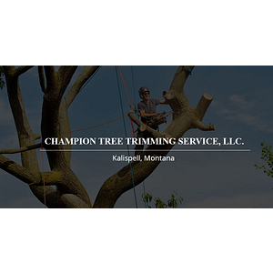 Champion Tree Trimming Service