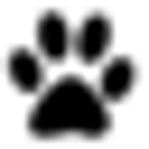 On Command - Logo