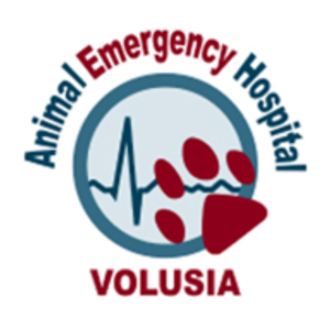 Animal Emergency Hospital DeLand - Logo