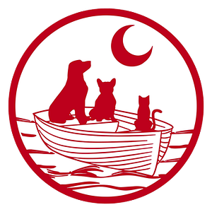 May River Pet Resort