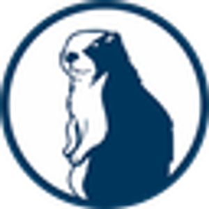 Kirsch Real Estate Team - Logo