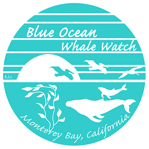 Blue Ocean Whale Watching