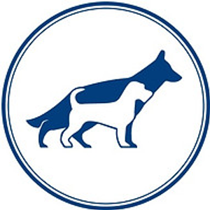 The Hill Country Dog Trainer - Dog trainer in Austin