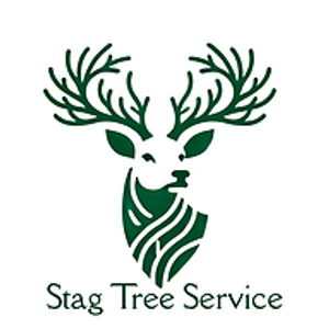 Stag Tree Service