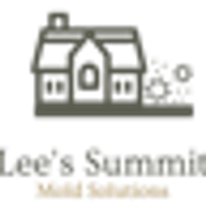 Mold Removal Lees Summit Solutions
