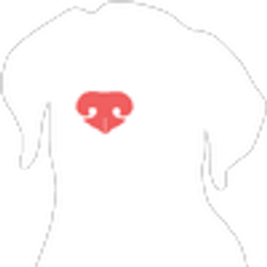 House of Paws Dog Training - Logo