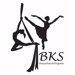 Body Barre Fitness - Logo